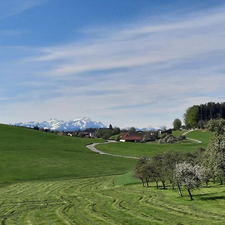 Ferienwohnung Pusteblume Neukirch  Luaran gambar