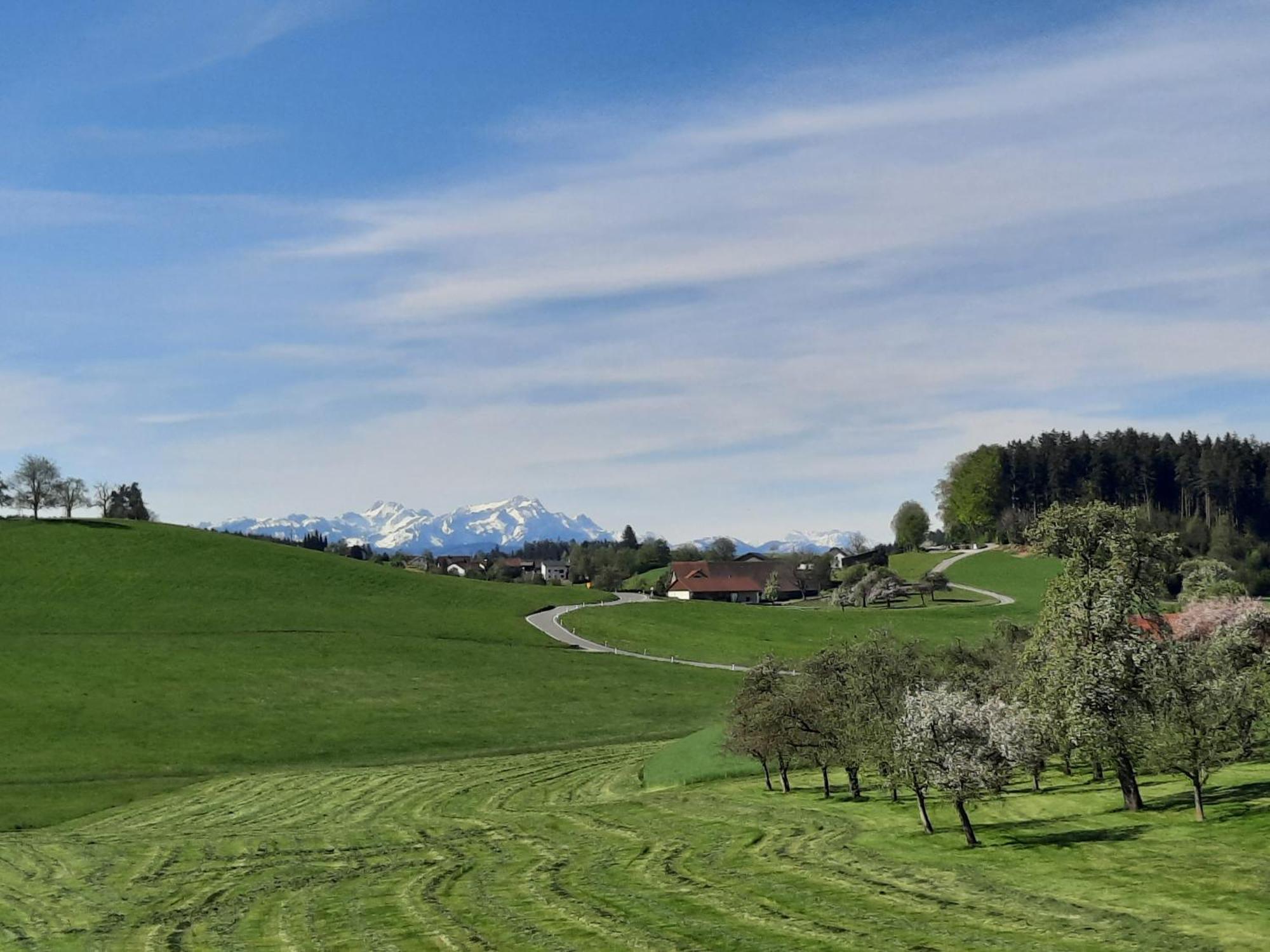 Ferienwohnung Pusteblume Neukirch  Luaran gambar
